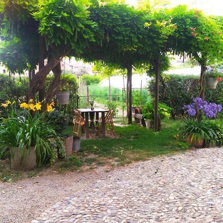 Il Germano Reale Bed & Breakfast Alba  Eksteriør bilde