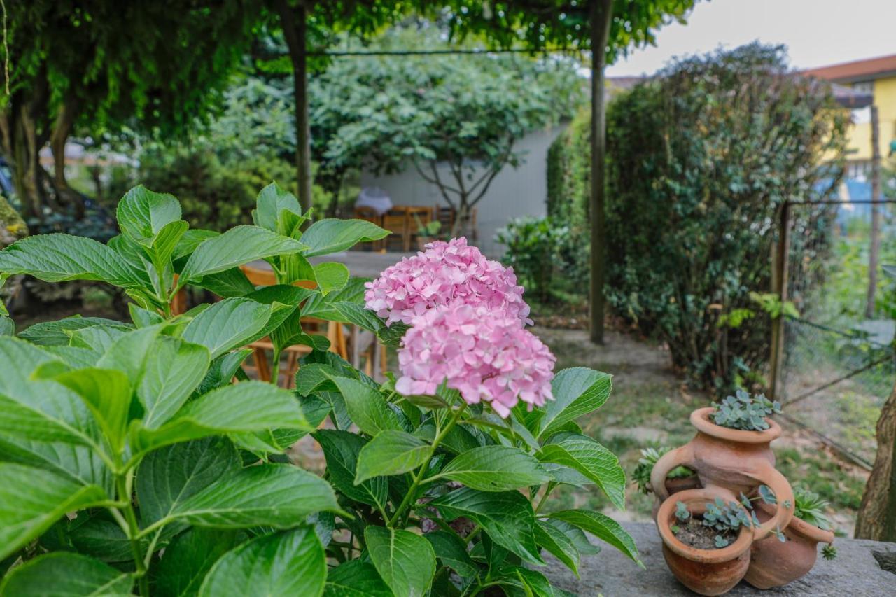 Il Germano Reale Bed & Breakfast Alba  Eksteriør bilde