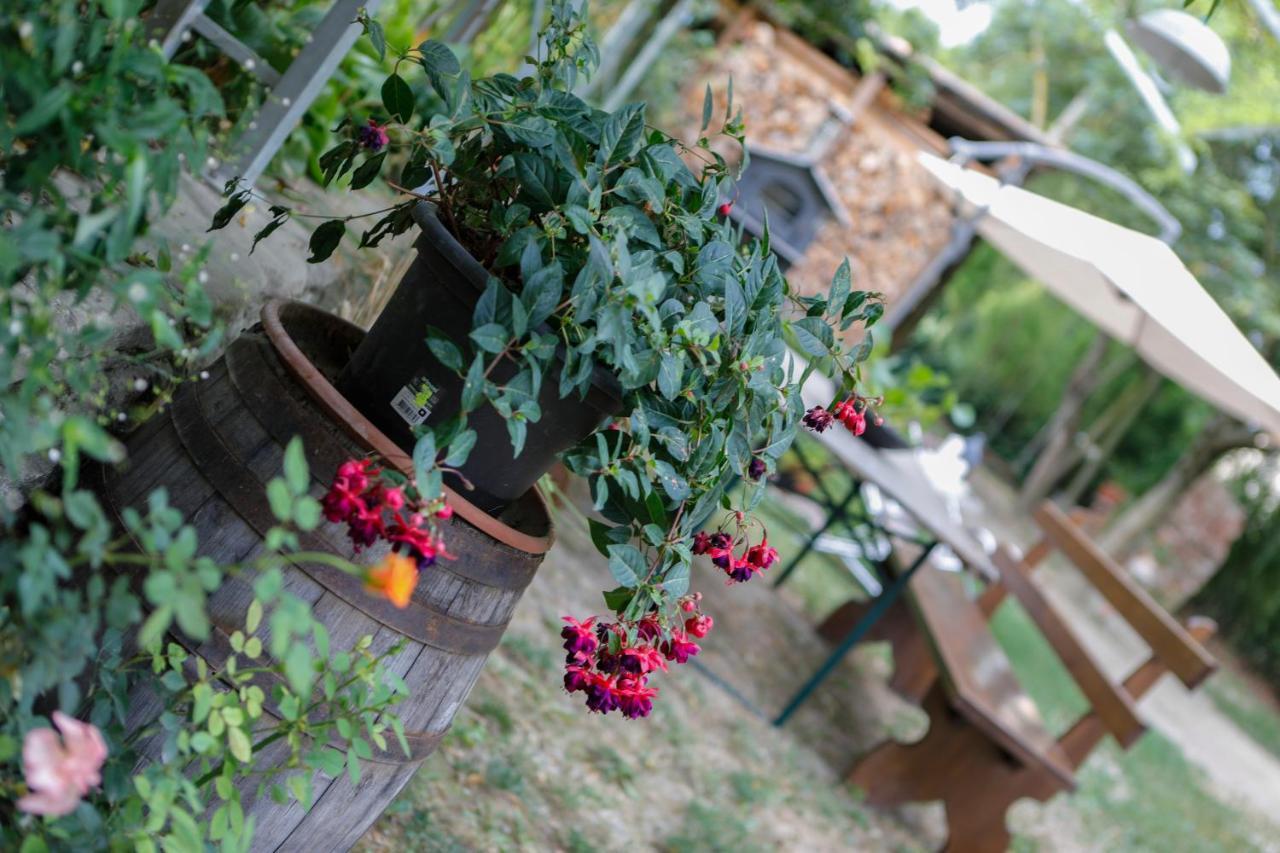 Il Germano Reale Bed & Breakfast Alba  Eksteriør bilde