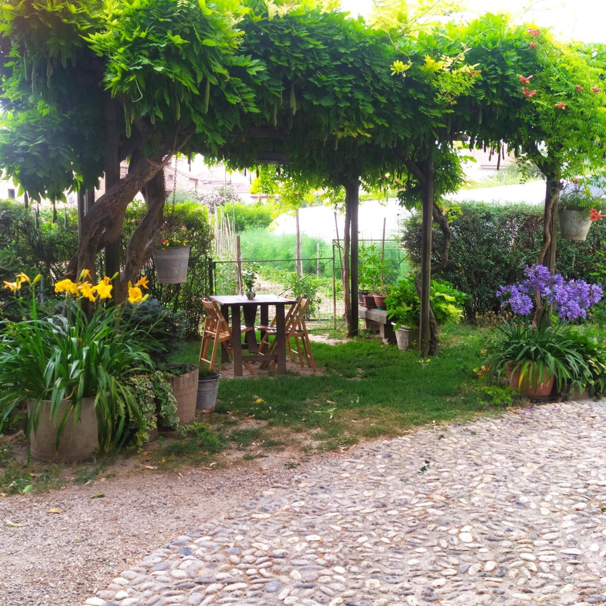 Il Germano Reale Bed & Breakfast Alba  Eksteriør bilde